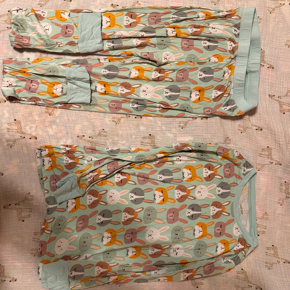 Little Sleepies Rad Rabbits Two Piece Set